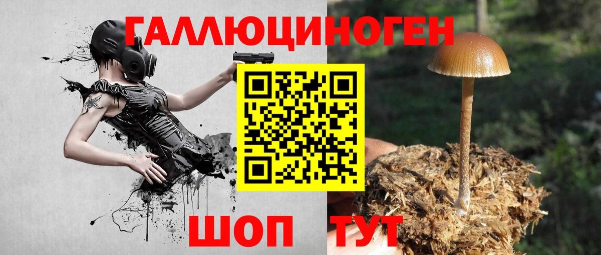 даркнет сайт  Галлюциногенные грибы Cubensis  Вход с VPN  Гуково 