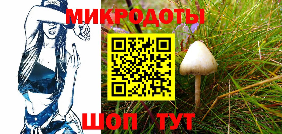 Галлюциногенные грибы ЛСД Гуково